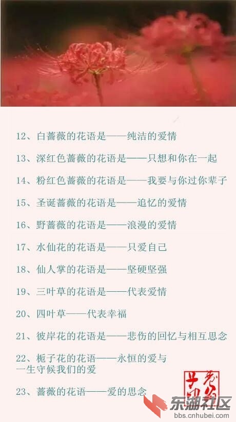 QQ图片20161119214401.jpg