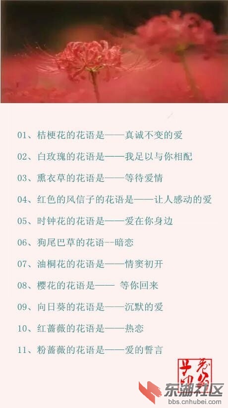 QQ图片20161119214357.jpg