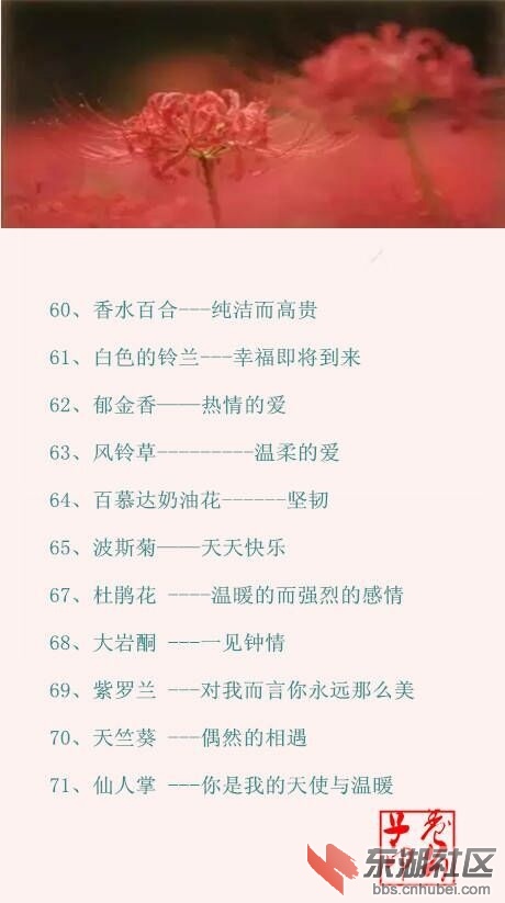 QQ图片20161119214352.jpg