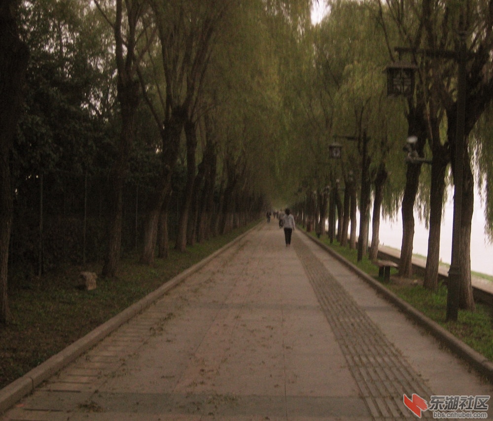 林间小道2.jpg