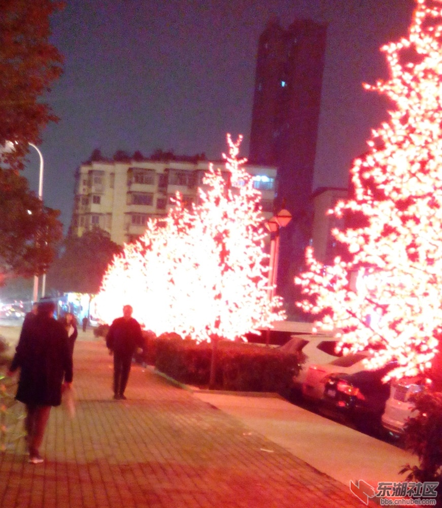 火树8.jpg