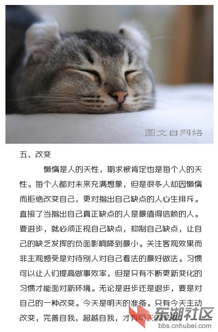 69109bc3jw1em8jp7bmacj20c80imq4z.jpg