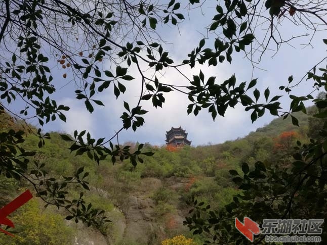 秋 高阁.jpg