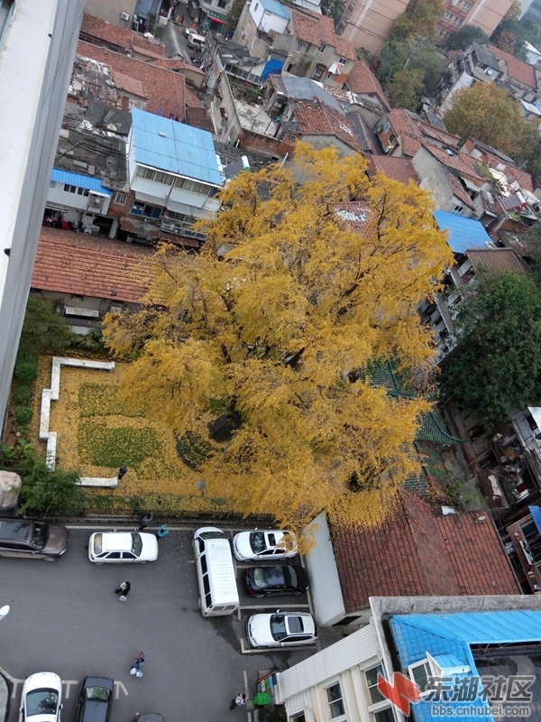 19.jpg