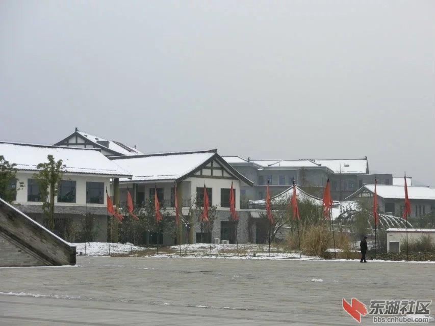 CIMG7179.jpg