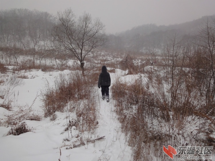 下雪天，他离家出走了