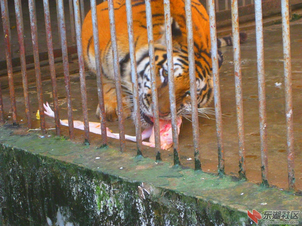 吃相6.jpg