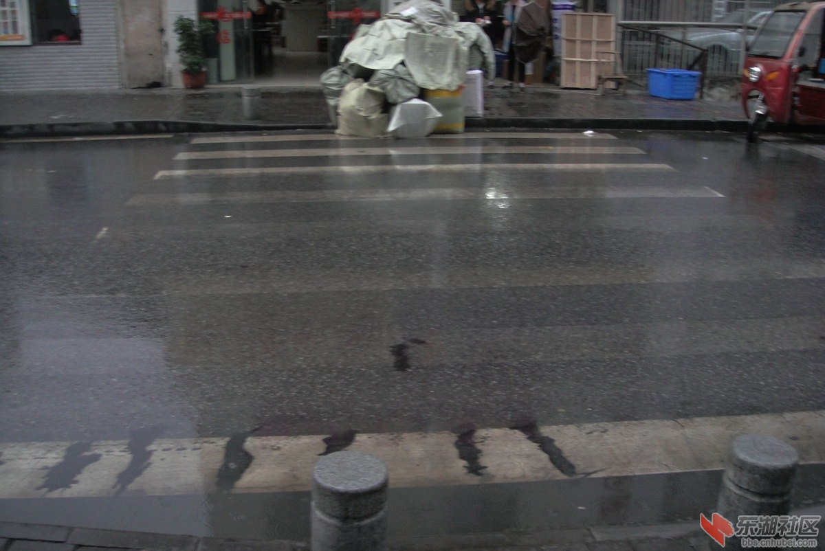 DSC08044.jpg