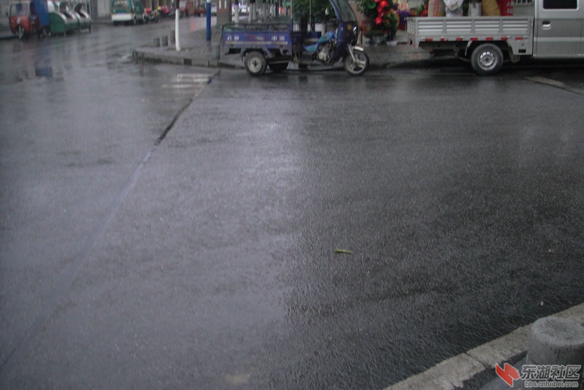 DSC08045.jpg