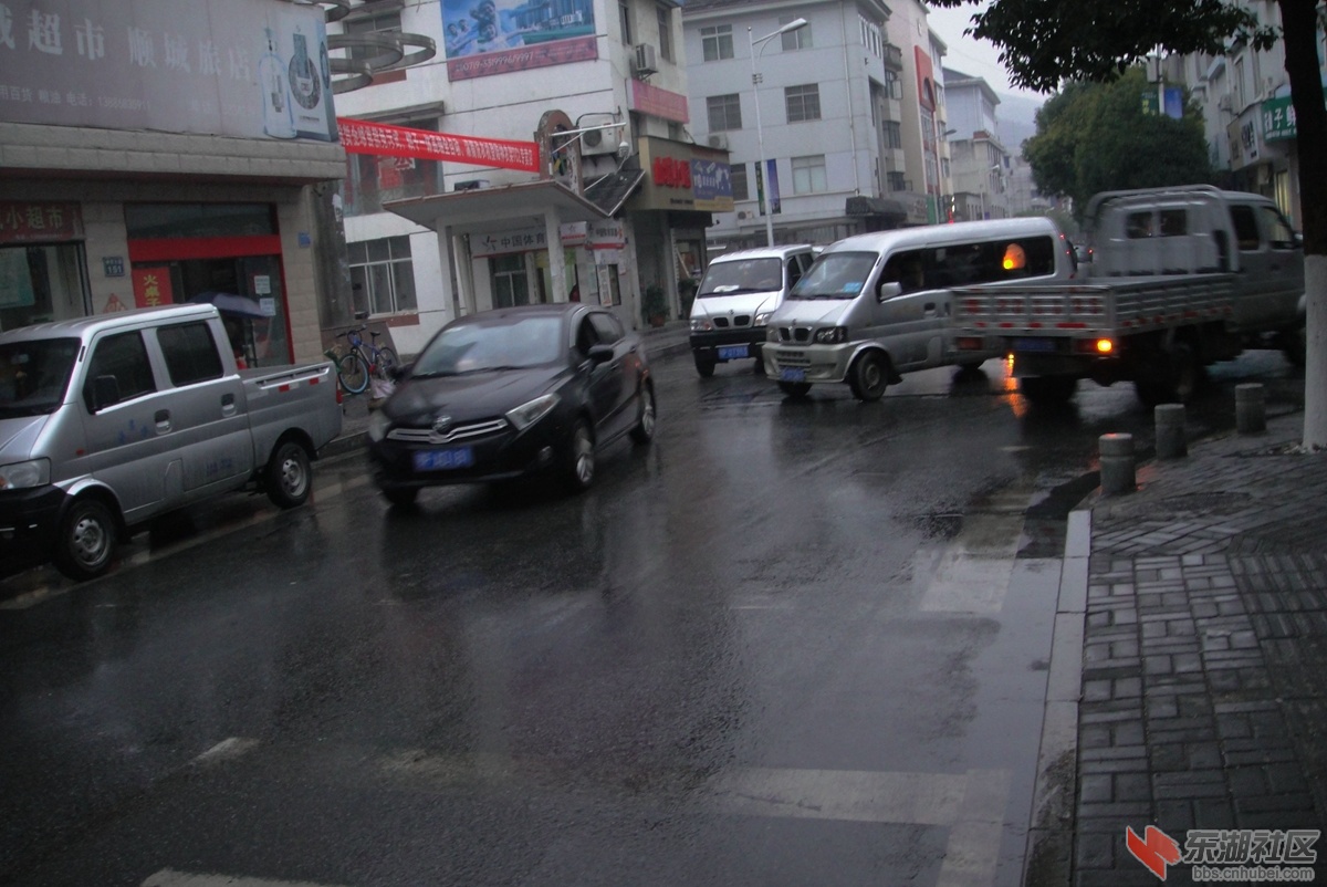 DSC08047.jpg