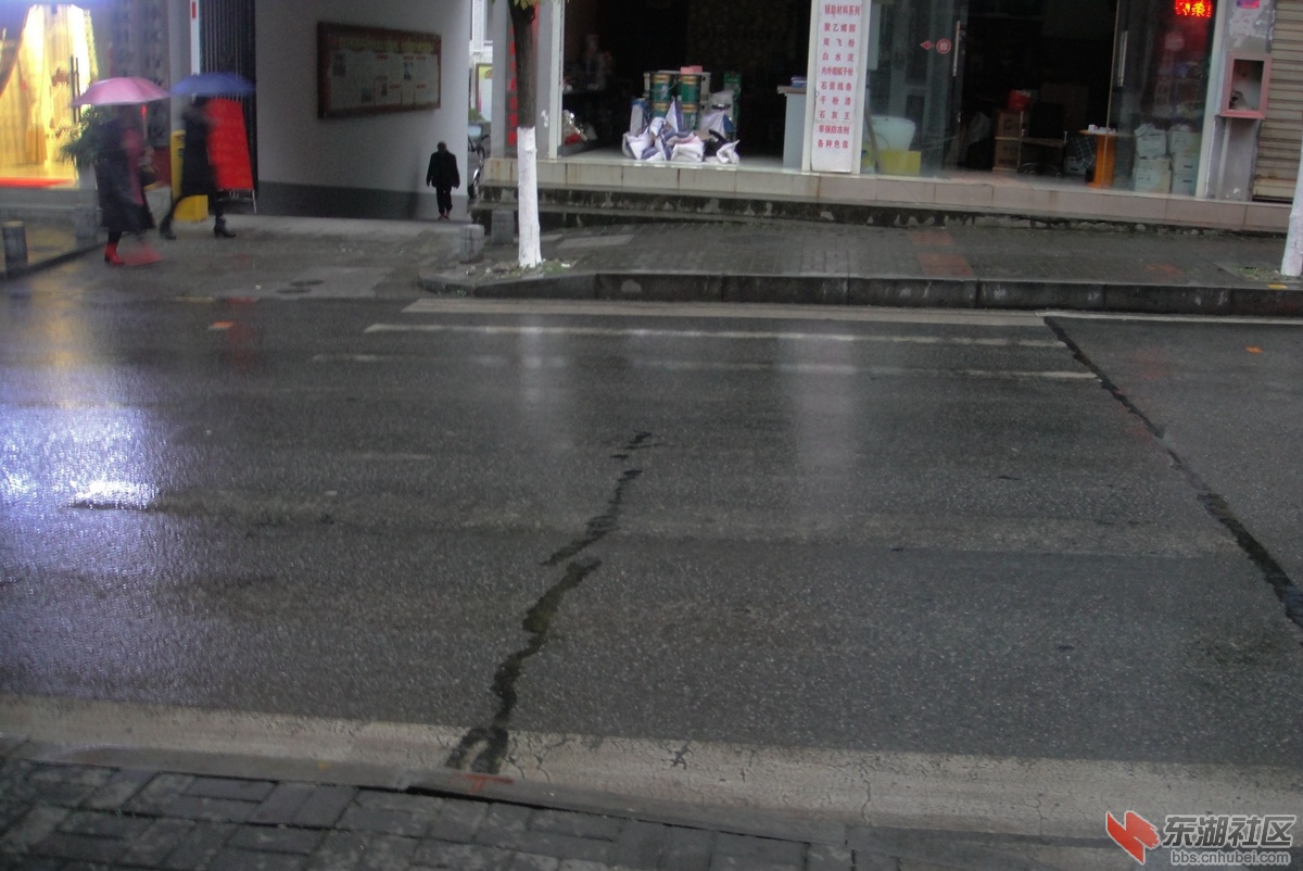 DSC08050.jpg