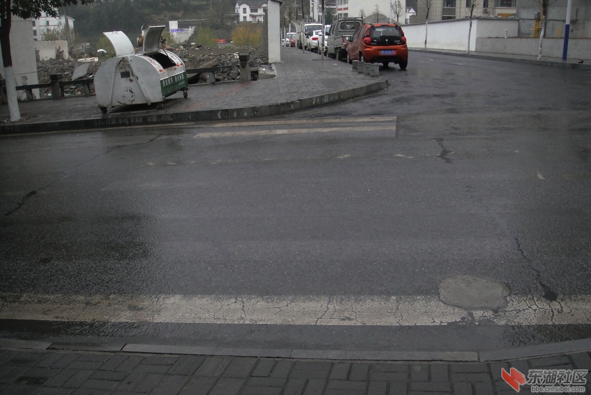DSC08051.jpg