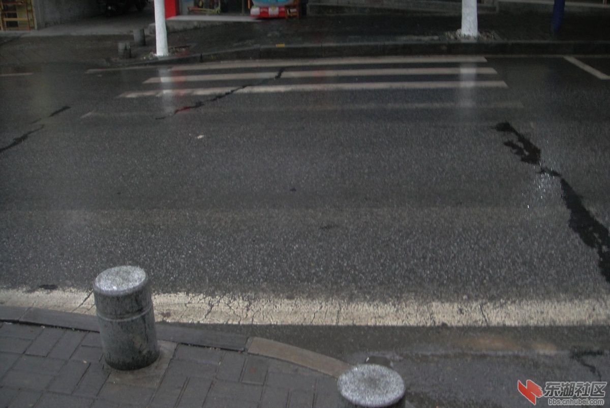 DSC08052.jpg