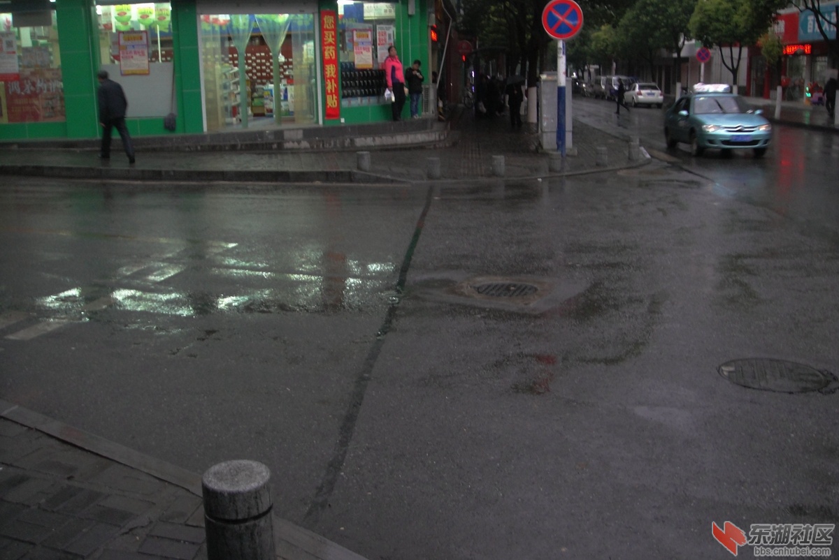 DSC08054.jpg