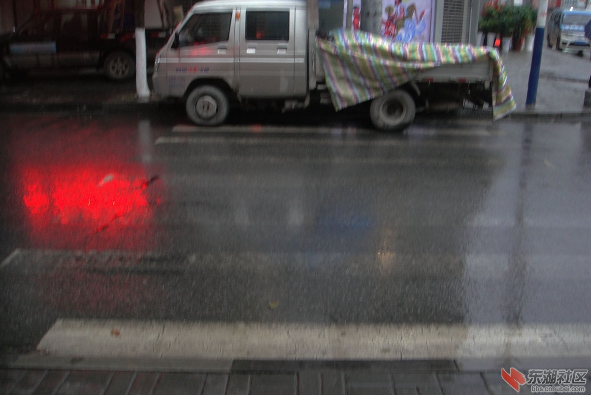DSC08055.jpg