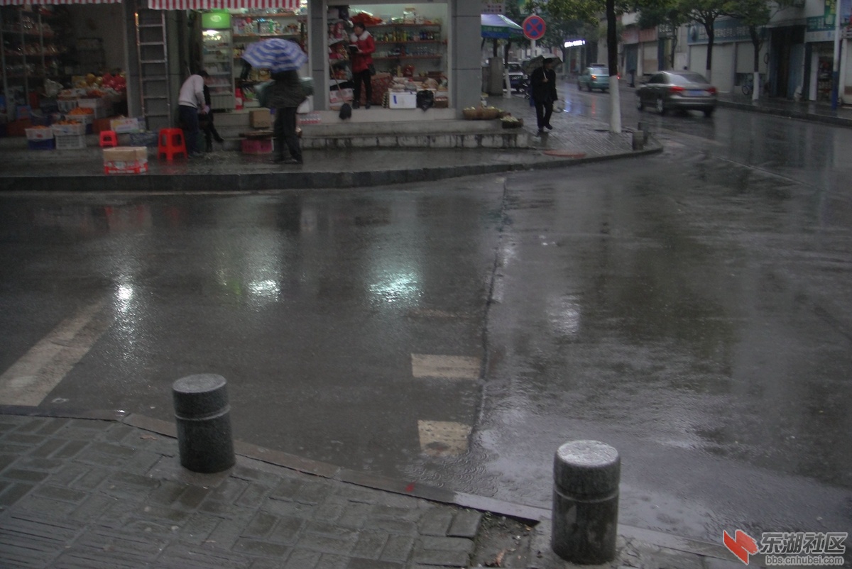 DSC08056.jpg