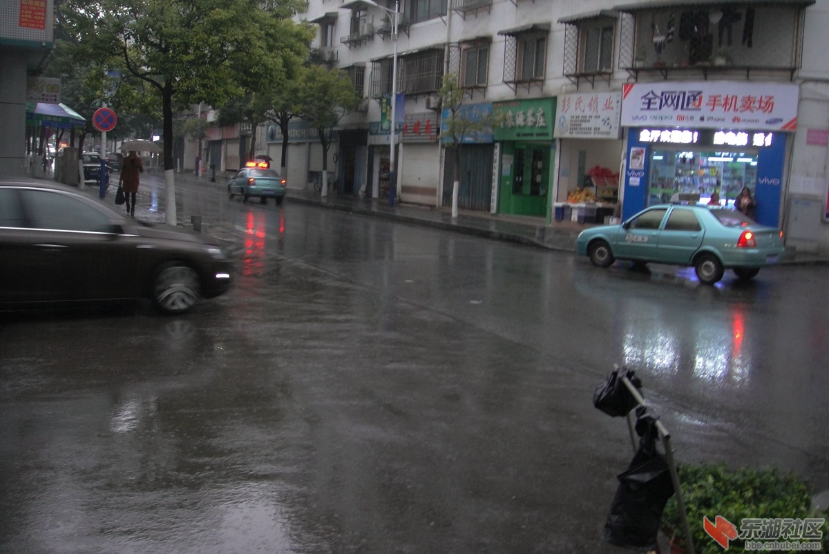 DSC08058.jpg