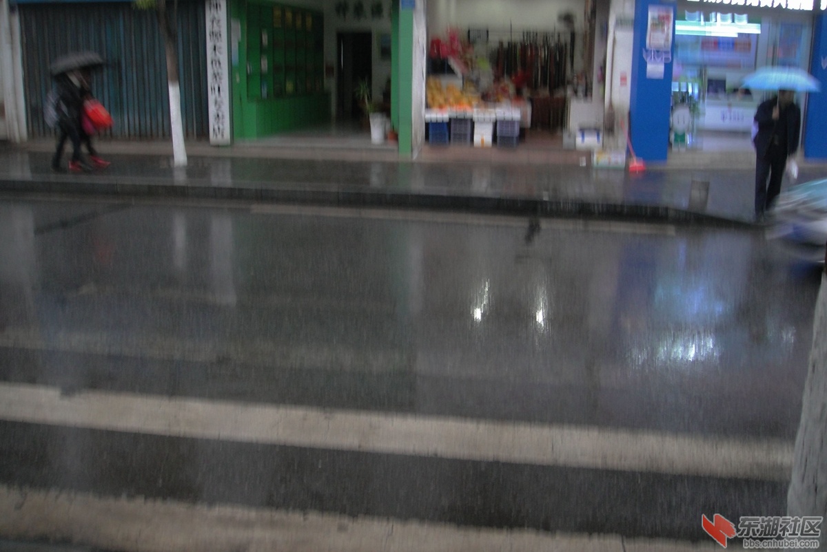 DSC08059.jpg