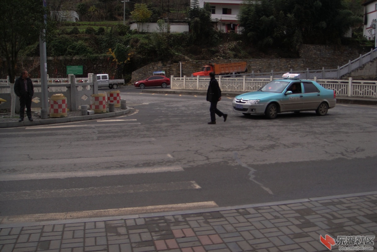 DSC08067.jpg