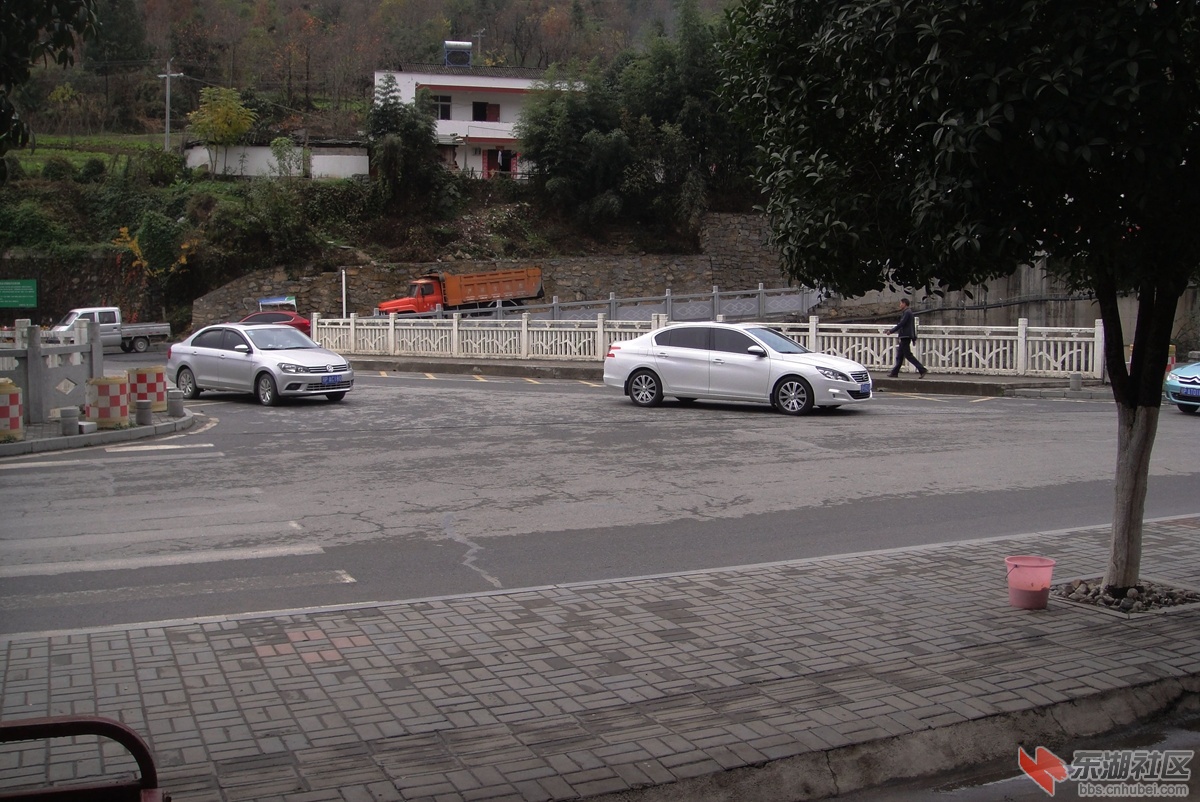 DSC08068.jpg