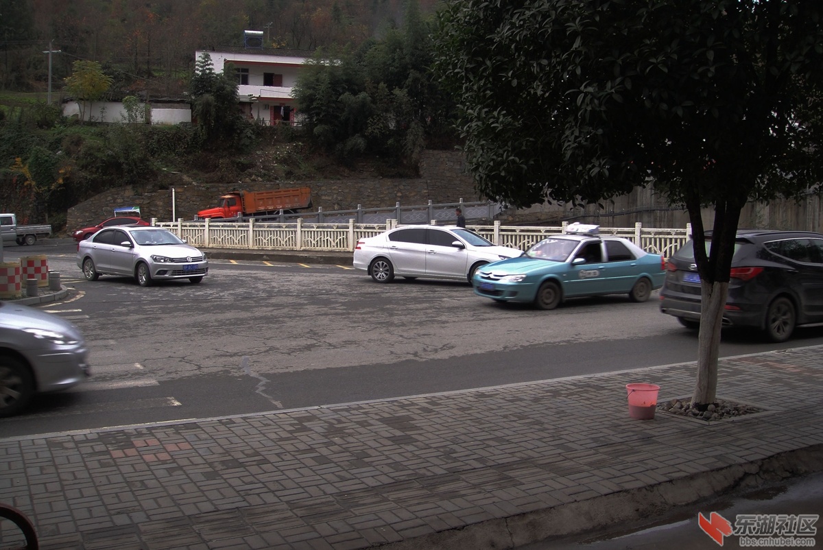 DSC08069.jpg