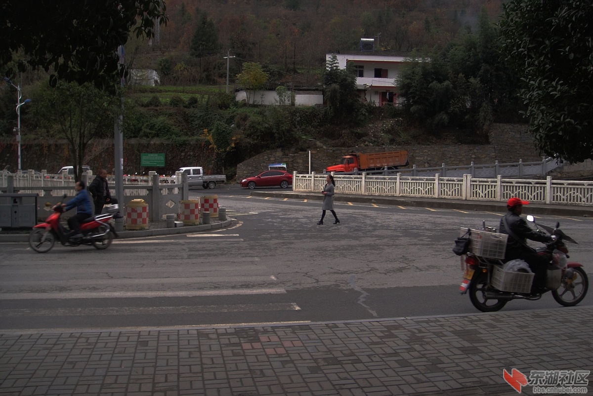 DSC08071.jpg