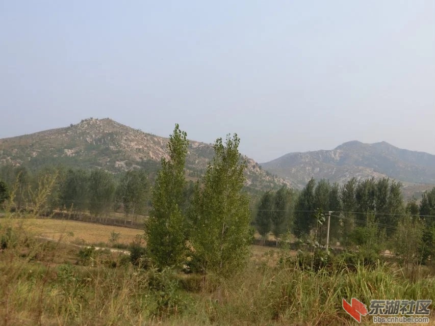 CIMG2280.jpg