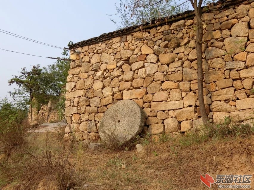 CIMG2312.jpg