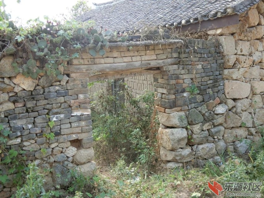 CIMG2316.jpg