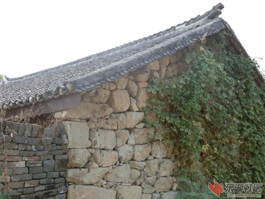 CIMG2319.jpg