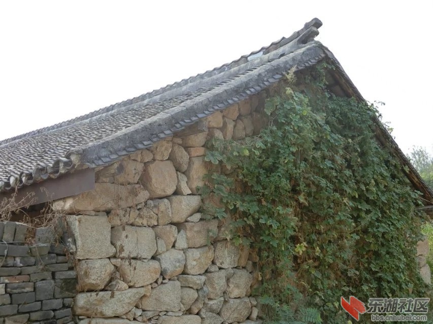 CIMG2318.jpg