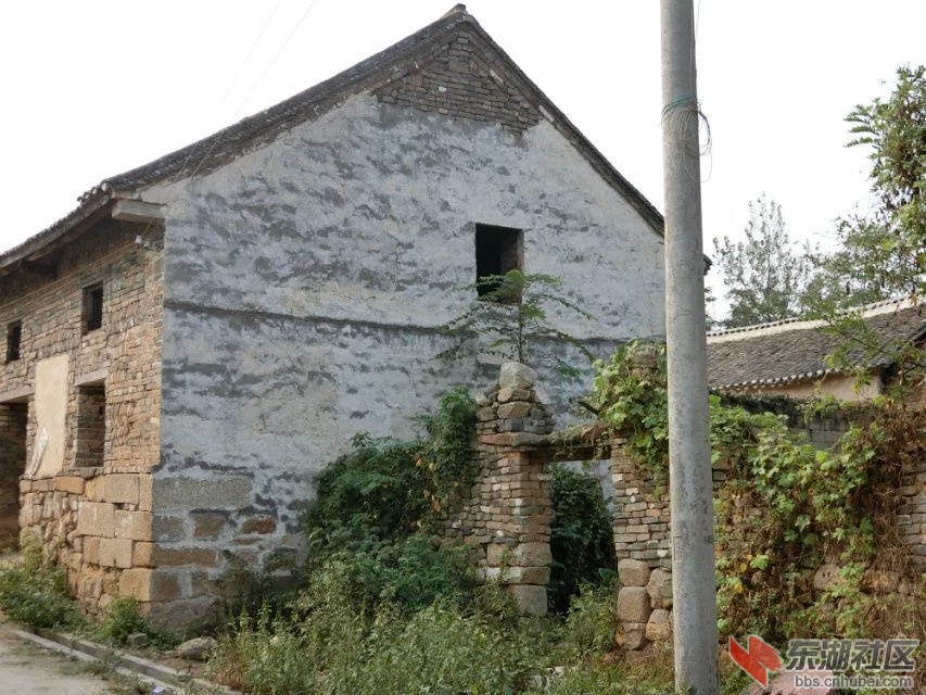 CIMG2324.jpg