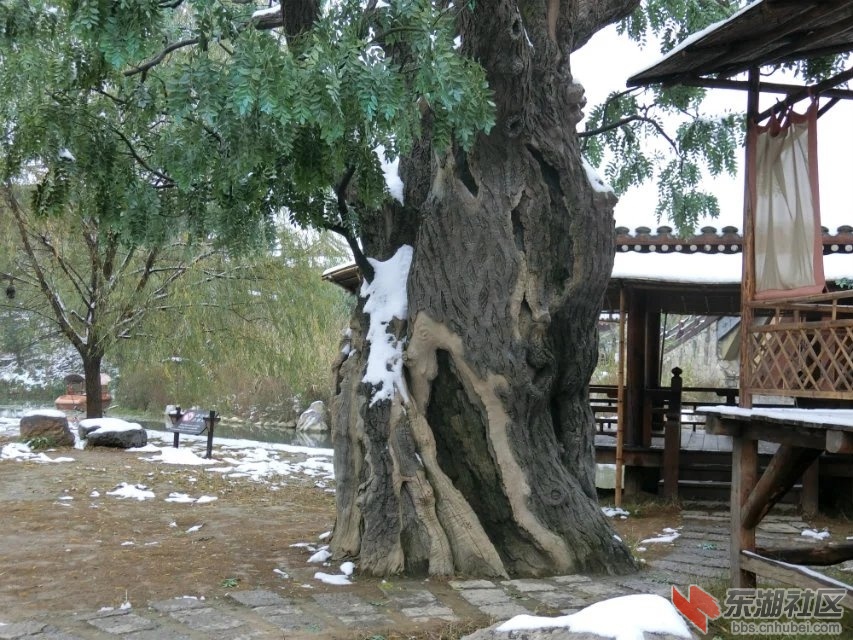 CIMG7245.jpg