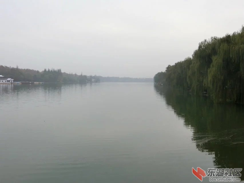 CIMG7507.jpg