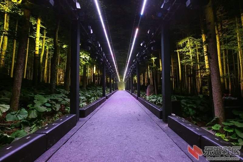 1LYC1068_副本.jpg