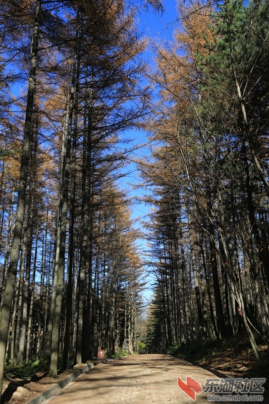 1B1A0854.JPG