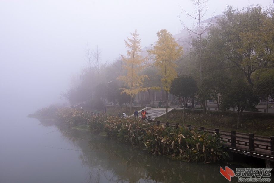 DSC_7923-1.jpg
