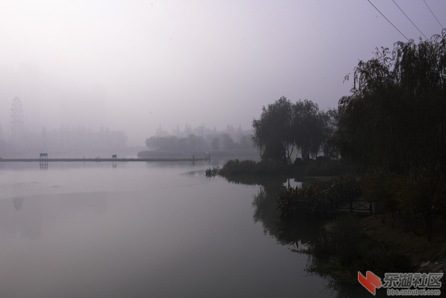 DSC_7929-1.jpg