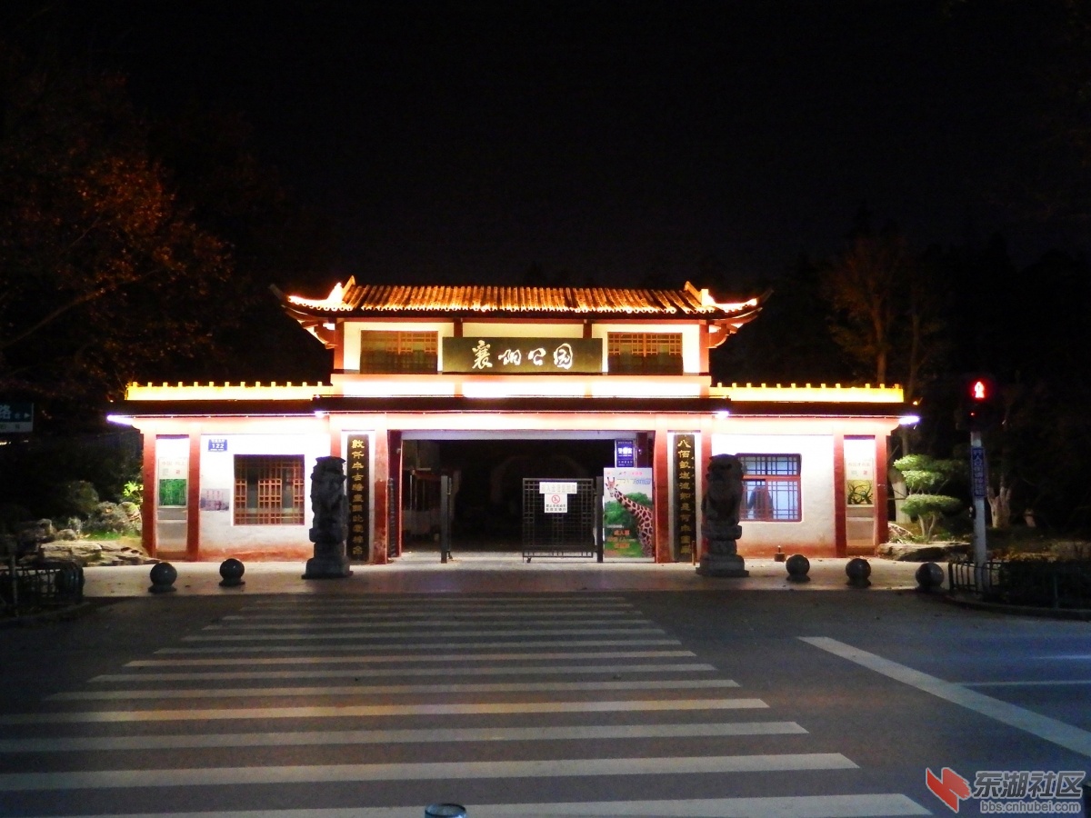 DSCF3372_副本.jpg