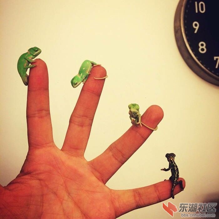 QQ图片20161208173347.jpg