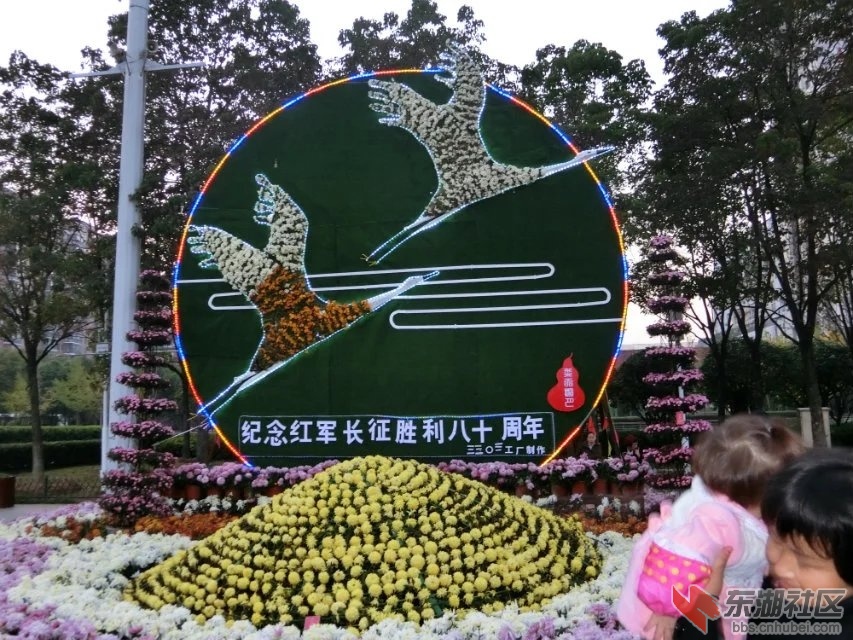 CIMG5321.jpg