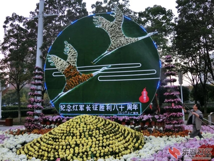 CIMG5322.jpg