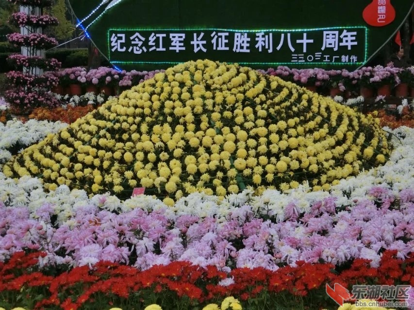 CIMG5324.jpg
