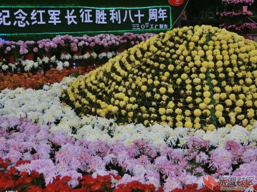 CIMG5325.jpg