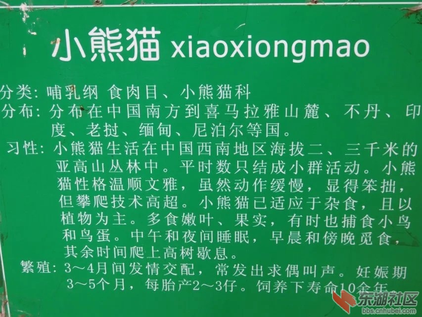 CIMG3190.jpg