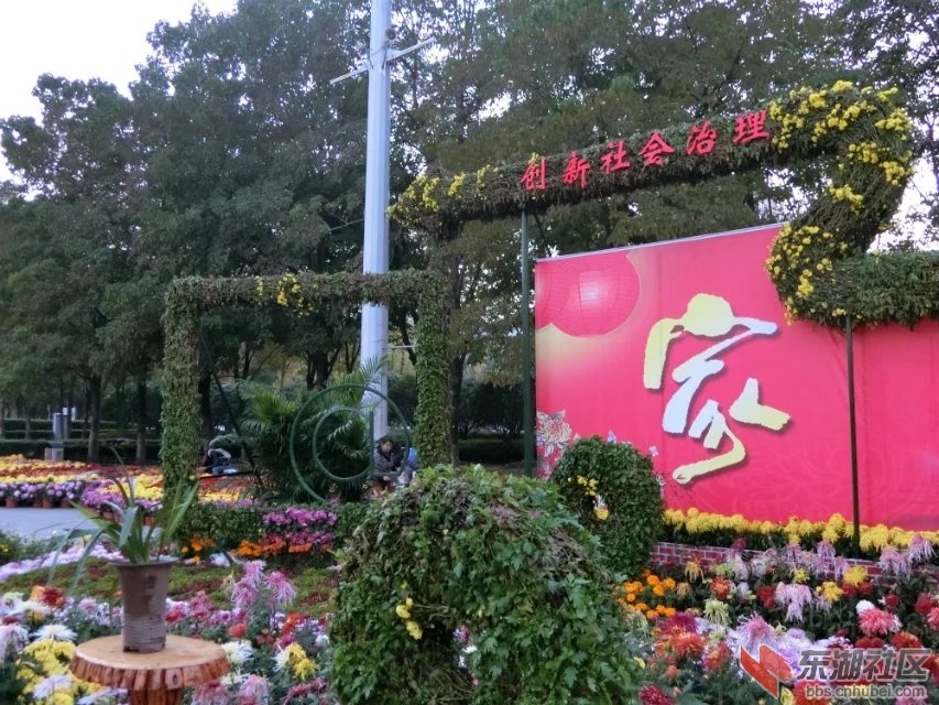CIMG5342.jpg