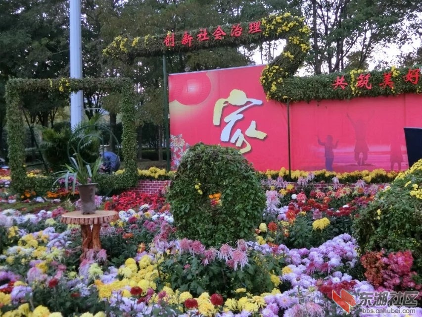 CIMG5343.jpg