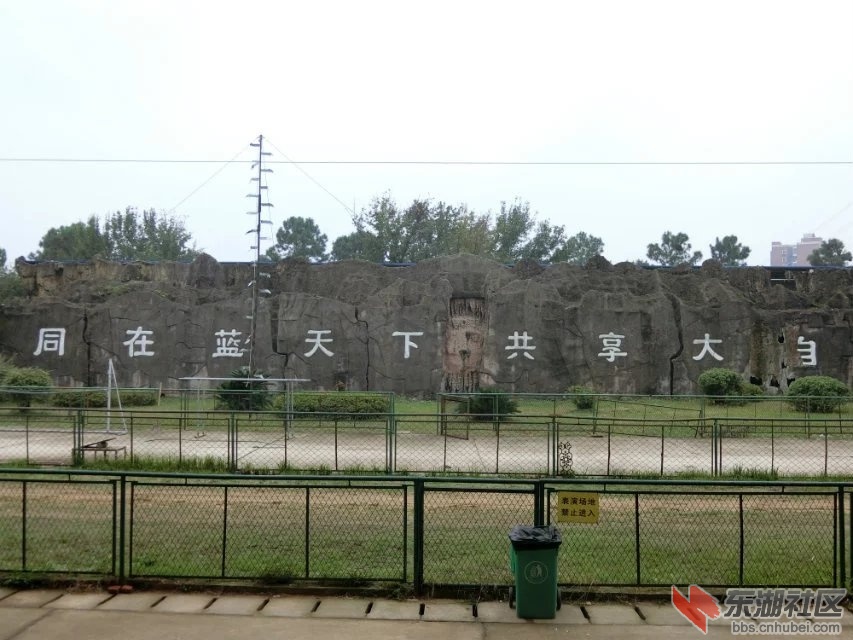 CIMG3324.jpg