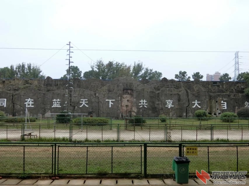 CIMG3325.jpg