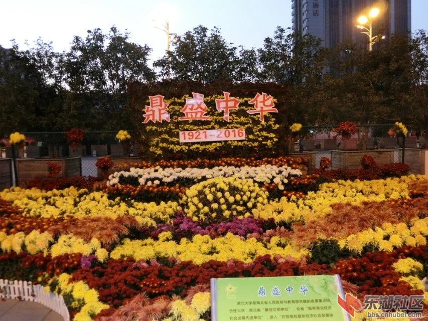CIMG5401.jpg